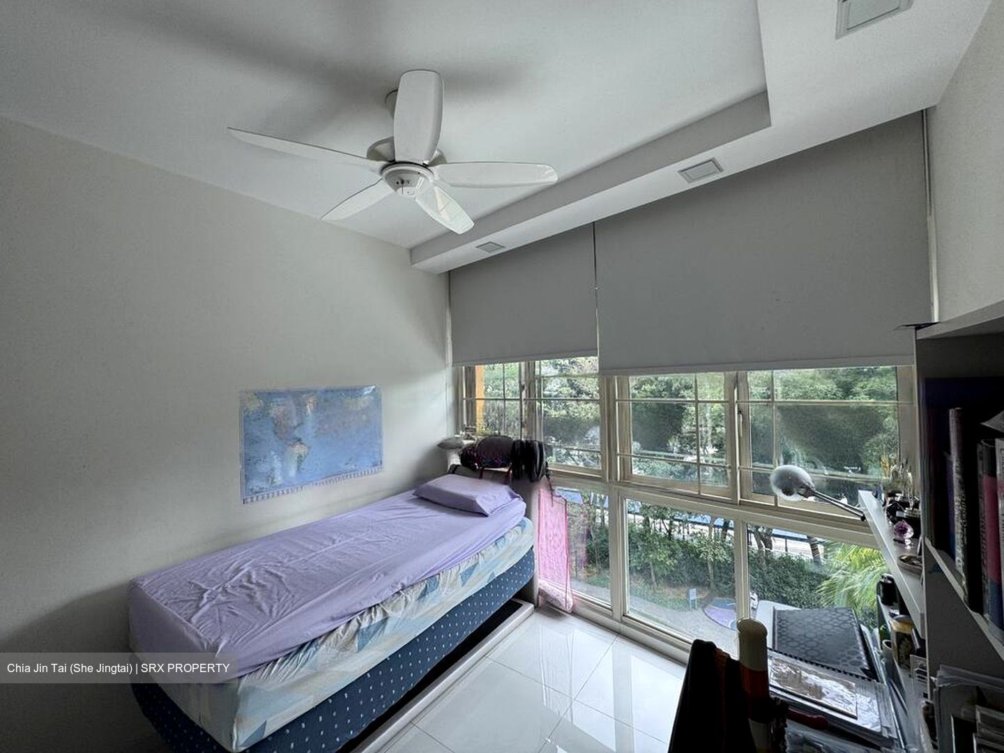 Trellis Towers (D12), Condominium #458569661